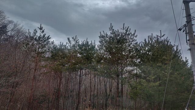 IMG_20230114_114553161_HDR
