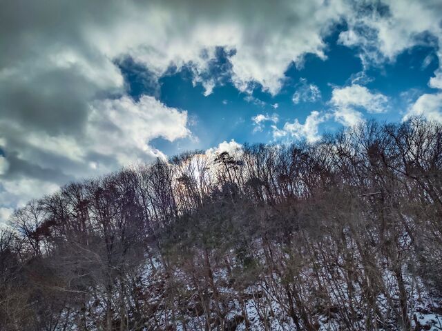 IMG_20220206_142124289_HDR_edited