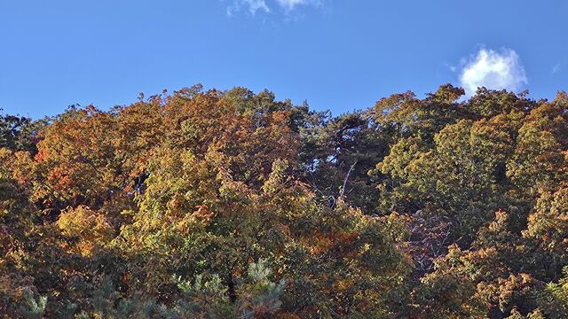 IMG_20221103_102106040