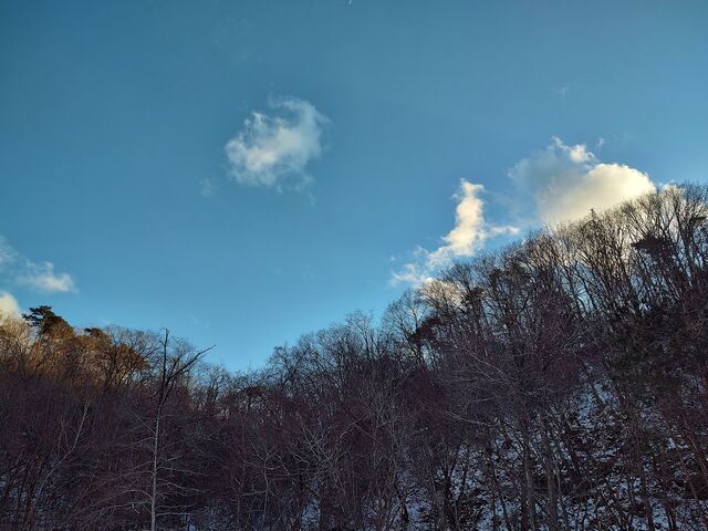 IMG_20220206_161004309_HDR