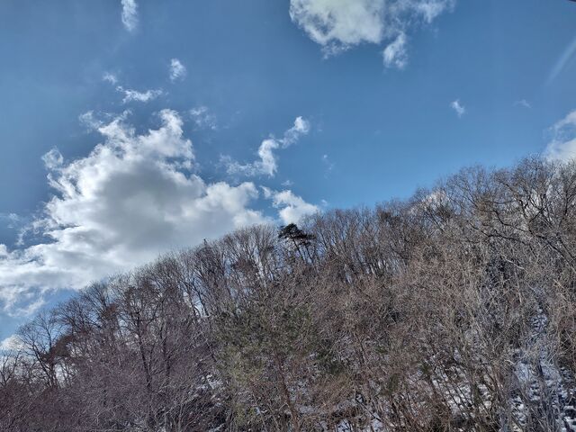 IMG_20220226_105211614_HDR