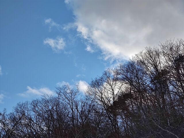 IMG_20220205_161135852