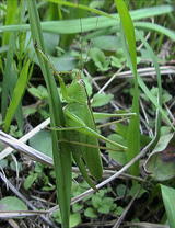 b6d21d26.jpg