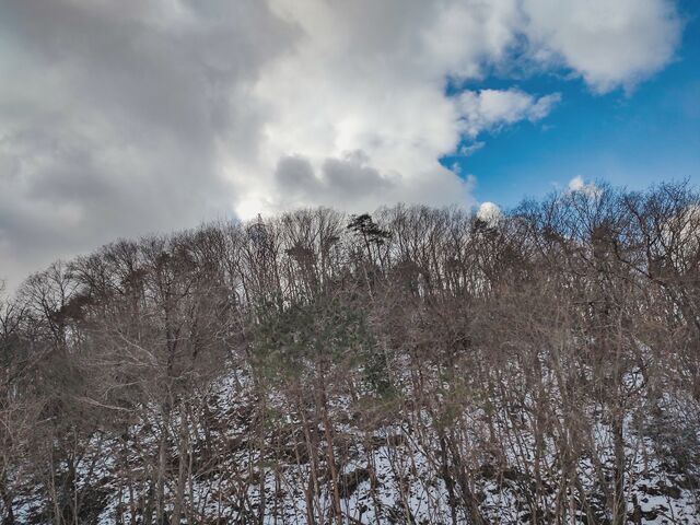 IMG_20220122_113545560_edited