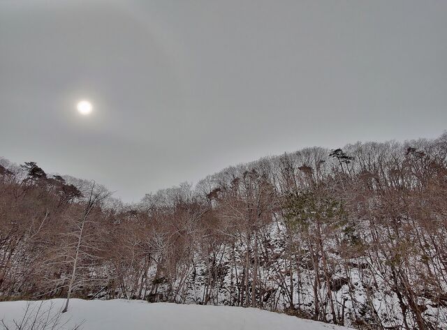 IMG_20220219_102817717_HDR