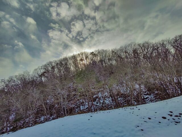 IMG_20220129_141854790_HDR_edited