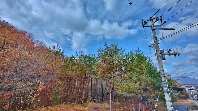 IMG_20221119_101805828_HDR