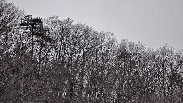 IMG_20230107_103540938