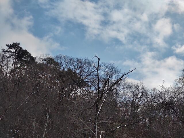 IMG_20220211_143814063