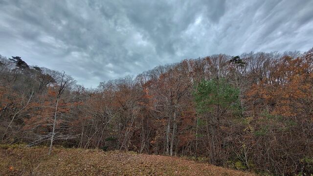 IMG_20221126_115019573_HDR