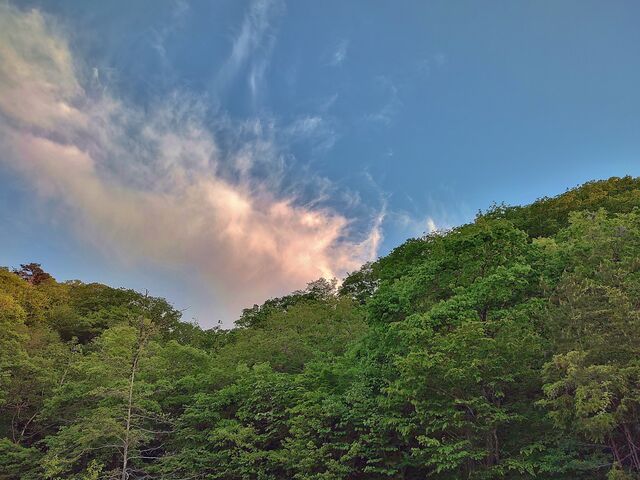 IMG_20220509_181128033_HDR