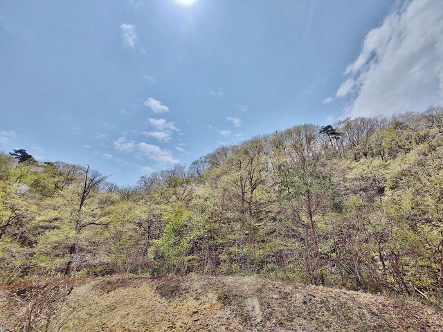 IMG_20220423_114510470_HDR