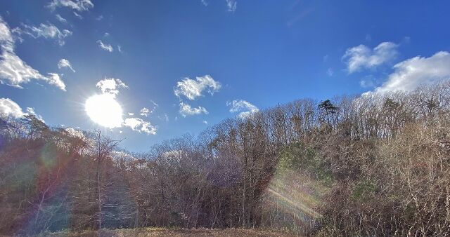 IMG_7350 (640x338)