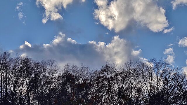IMG_20221126_145845516