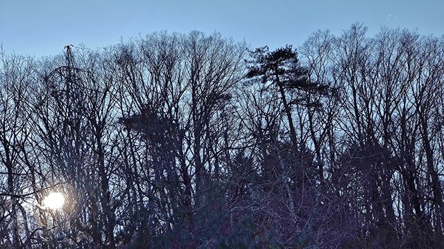 IMG_20221211_133832121