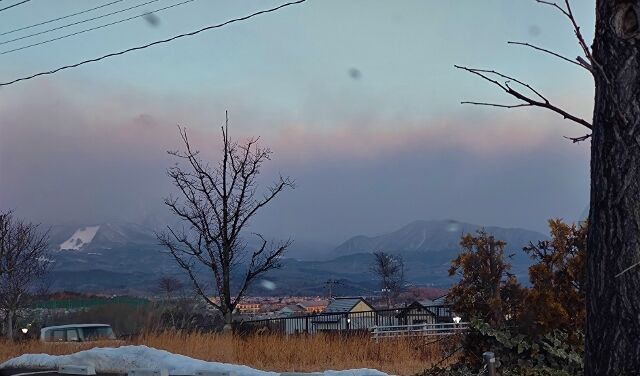 IMG_20220127_070026262 (640x376)