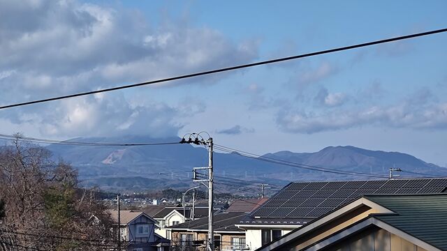 IMG_20221211_133633242