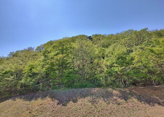IMG_20220504_113456807_HDR
