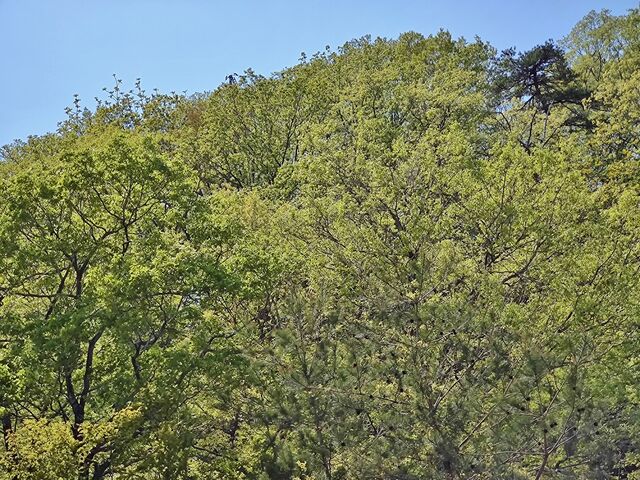 IMG_20220504_113519575