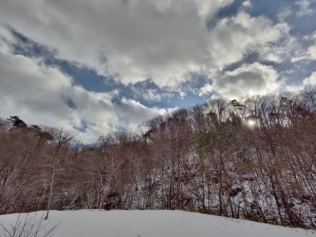 IMG_20220205_150616595_HDR