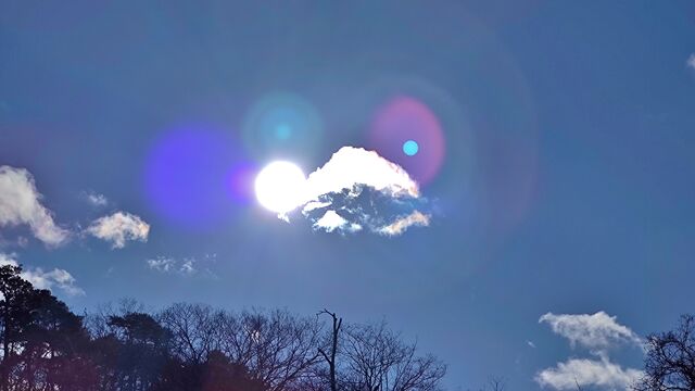 IMG_20221230_102117230