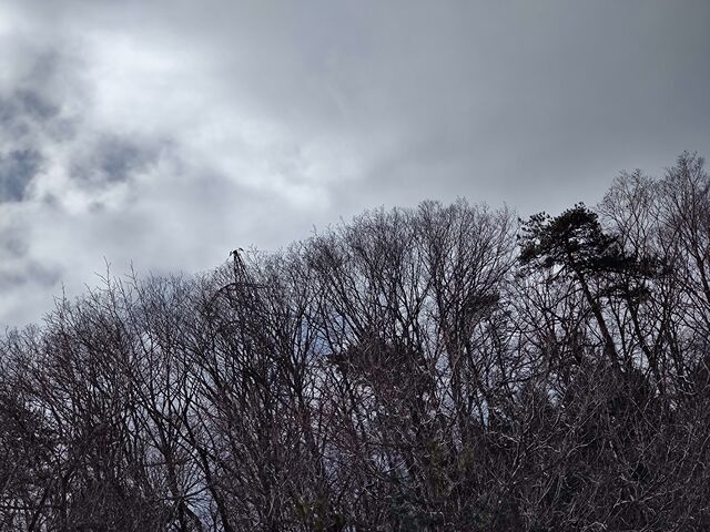 IMG_20220206_103431920