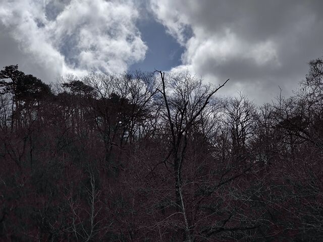 IMG_20220307_110249156