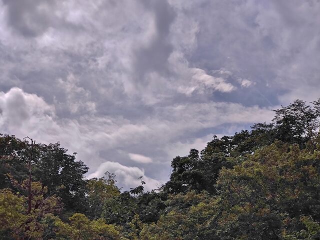 IMG_20220918_101552599