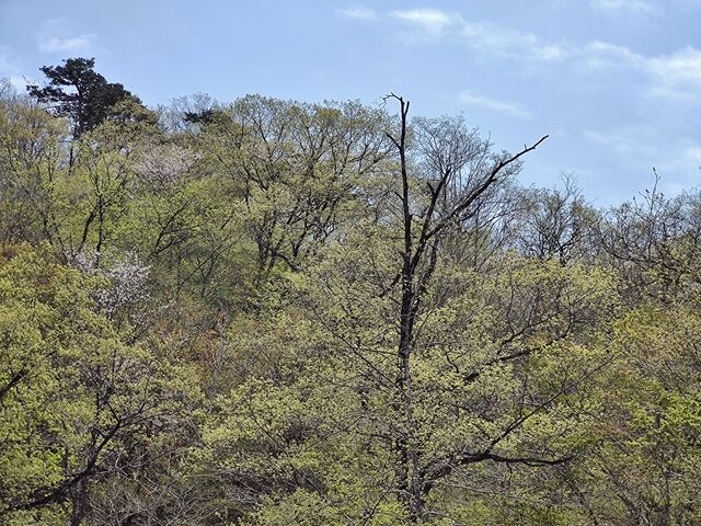 IMG_20220423_114532615