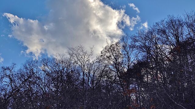 IMG_20221126_145823428