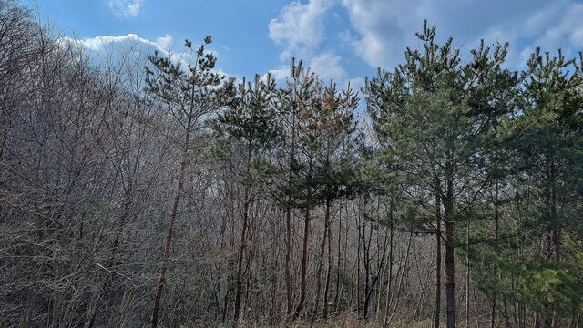 PXL_20250322_044847375.MP
