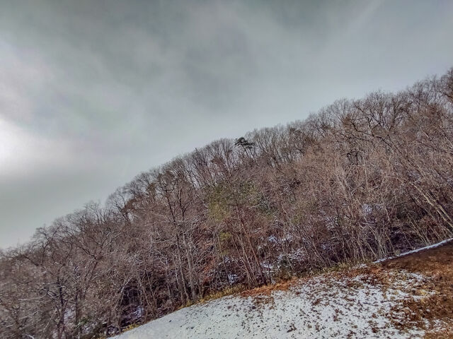 IMG_20220306_100524298_HDR_edited