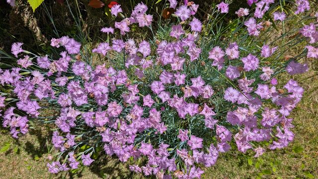 PXL_20260529_013520075