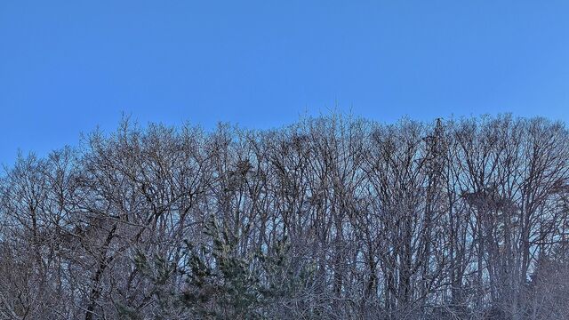 PXL_20250309_060518129