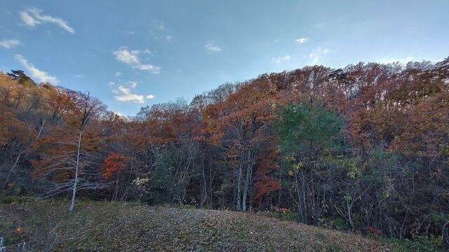 IMG_20221119_150938083_HDR