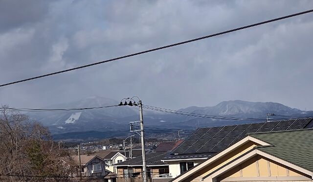 IMG_20220129_122908794 (640x372)