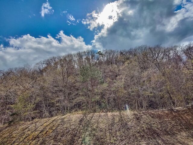IMG_20220416_140603355_HDR_edited