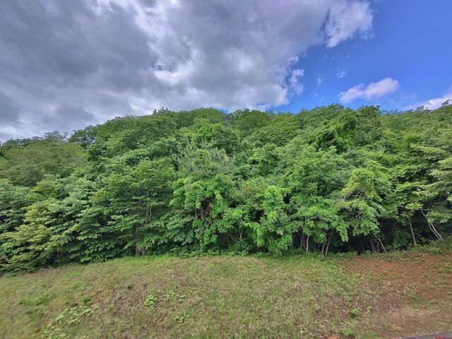 IMG_20220528_101318485_HDR