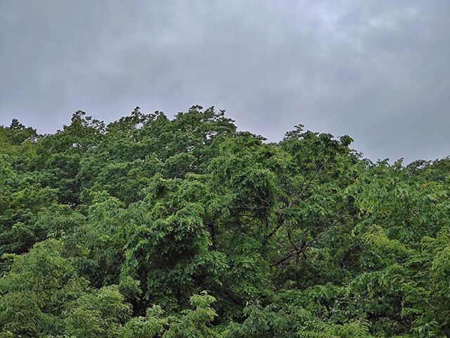 IMG_20220522_174809124