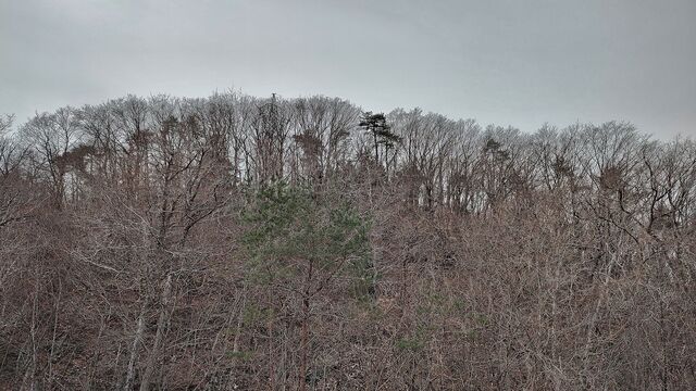 IMG_20230107_103451170_HDR
