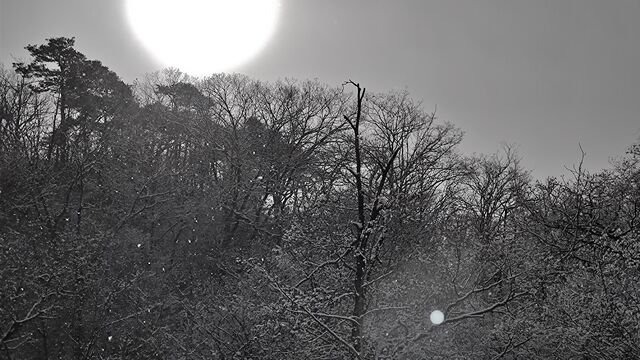 IMG_20230102_100308951