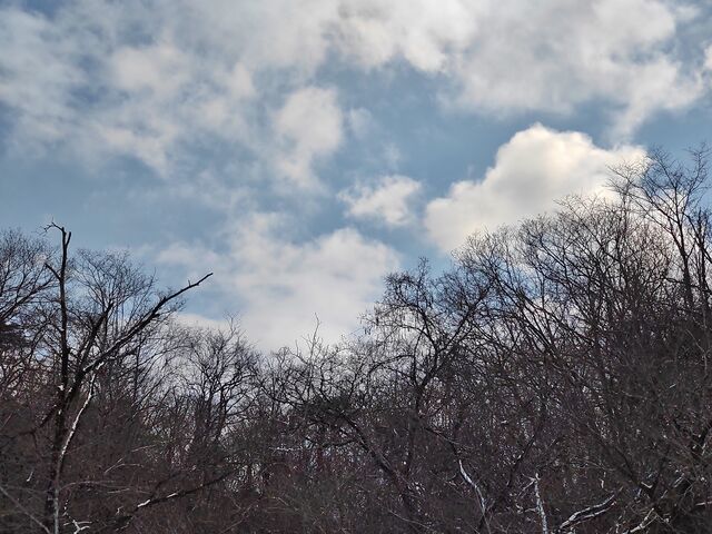 IMG_20220211_143819463