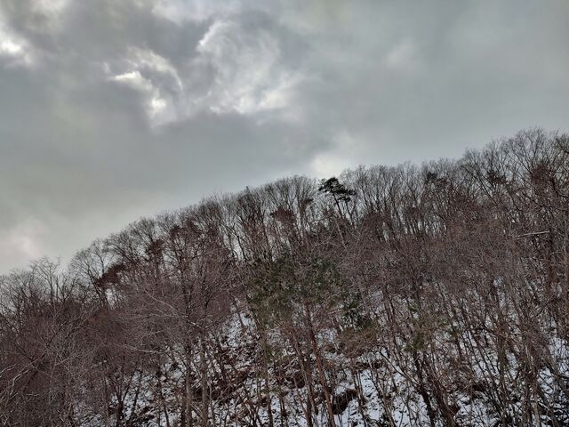 IMG_20220206_112922225_HDR