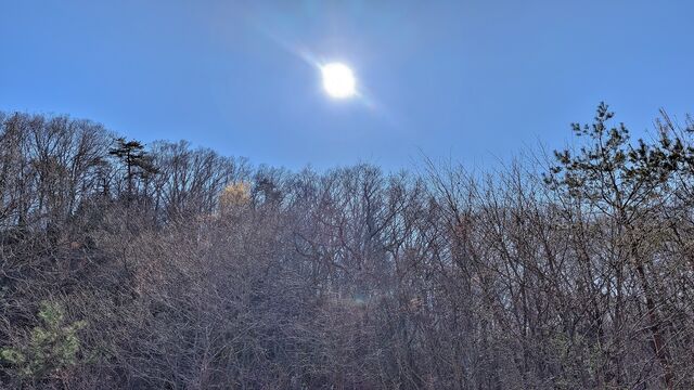 PXL_20260408_060522090