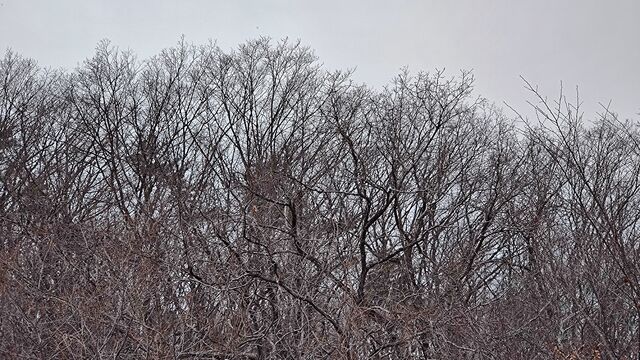 IMG_20221229_122940410