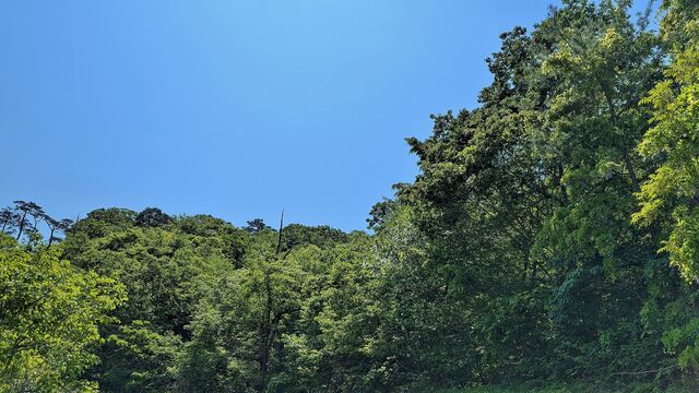 PXL_20260517_013748789