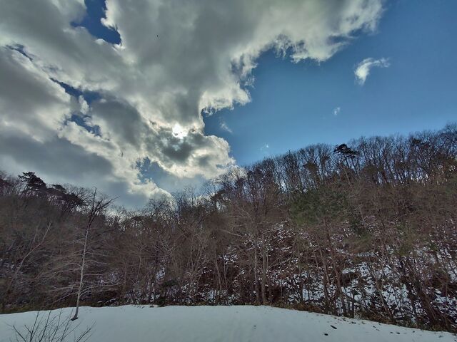 IMG_20220130_115057058_HDR