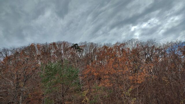 IMG_20221126_115011600_HDR