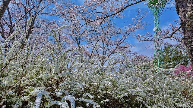 PXL_20250415_020944403 (640x360)