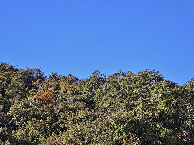 IMG_20221029_101500468
